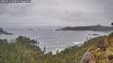 ./images/calvert/foggy-cove/20260515/foggy-cove20260515_093001M.jpg