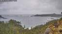 ./images/calvert/foggy-cove/20260515/foggy-cove20260515_093501M.jpg