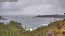 ./images/calvert/foggy-cove/20260515/foggy-cove20260515_094001M.jpg