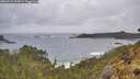 ./images/calvert/foggy-cove/20260515/foggy-cove20260515_094502M.jpg