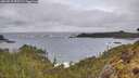 ./images/calvert/foggy-cove/20260515/foggy-cove20260515_095501M.jpg