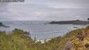 ./images/calvert/foggy-cove/20260515/foggy-cove20260515_101001M.jpg