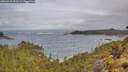 ./images/calvert/foggy-cove/20260515/foggy-cove20260515_101501M.jpg