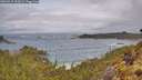 ./images/calvert/foggy-cove/20260515/foggy-cove20260515_102001M.jpg
