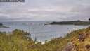 ./images/calvert/foggy-cove/20260515/foggy-cove20260515_102501M.jpg