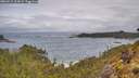 ./images/calvert/foggy-cove/20260515/foggy-cove20260515_103001M.jpg