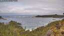 ./images/calvert/foggy-cove/20260515/foggy-cove20260515_103501M.jpg