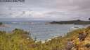 ./images/calvert/foggy-cove/20260515/foggy-cove20260515_104001M.jpg