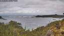 ./images/calvert/foggy-cove/20260515/foggy-cove20260515_105001M.jpg