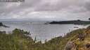 ./images/calvert/foggy-cove/20260515/foggy-cove20260515_105502M.jpg