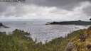./images/calvert/foggy-cove/20260515/foggy-cove20260515_110001M.jpg