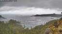 ./images/calvert/foggy-cove/20260515/foggy-cove20260515_110501M.jpg