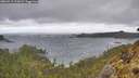 ./images/calvert/foggy-cove/20260515/foggy-cove20260515_111001M.jpg
