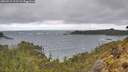 ./images/calvert/foggy-cove/20260515/foggy-cove20260515_111501M.jpg