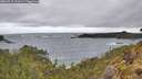 ./images/calvert/foggy-cove/20260515/foggy-cove20260515_112002M.jpg