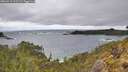 ./images/calvert/foggy-cove/20260515/foggy-cove20260515_112501M.jpg