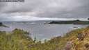 ./images/calvert/foggy-cove/20260515/foggy-cove20260515_113001M.jpg