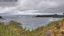 ./images/calvert/foggy-cove/20260515/foggy-cove20260515_113501M.jpg
