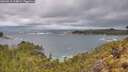 ./images/calvert/foggy-cove/20260515/foggy-cove20260515_114001M.jpg