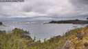 ./images/calvert/foggy-cove/20260515/foggy-cove20260515_115001M.jpg