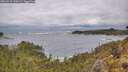 ./images/calvert/foggy-cove/20260515/foggy-cove20260515_120501M.jpg