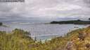 ./images/calvert/foggy-cove/20260515/foggy-cove20260515_122001M.jpg