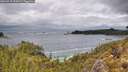./images/calvert/foggy-cove/20260515/foggy-cove20260515_123001M.jpg