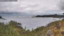 ./images/calvert/foggy-cove/20260515/foggy-cove20260515_124001M.jpg