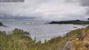 ./images/calvert/foggy-cove/20260515/foggy-cove20260515_124501M.jpg