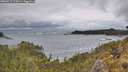 ./images/calvert/foggy-cove/20260515/foggy-cove20260515_125001M.jpg