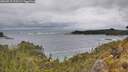 ./images/calvert/foggy-cove/20260515/foggy-cove20260515_125501M.jpg