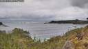 ./images/calvert/foggy-cove/20260515/foggy-cove20260515_130001M.jpg