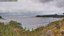 ./images/calvert/foggy-cove/20260515/foggy-cove20260515_130501M.jpg