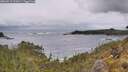 ./images/calvert/foggy-cove/20260515/foggy-cove20260515_131001M.jpg