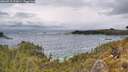 ./images/calvert/foggy-cove/20260515/foggy-cove20260515_133001M.jpg