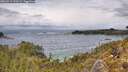 ./images/calvert/foggy-cove/20260515/foggy-cove20260515_133502M.jpg