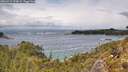 ./images/calvert/foggy-cove/20260515/foggy-cove20260515_134002M.jpg