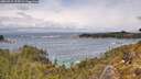 ./images/calvert/foggy-cove/20260515/foggy-cove20260515_134501M.jpg