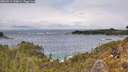 ./images/calvert/foggy-cove/20260515/foggy-cove20260515_140002M.jpg