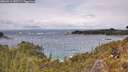 ./images/calvert/foggy-cove/20260515/foggy-cove20260515_140501M.jpg