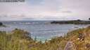 ./images/calvert/foggy-cove/20260515/foggy-cove20260515_141001M.jpg
