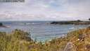 ./images/calvert/foggy-cove/20260515/foggy-cove20260515_143001M.jpg