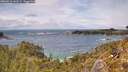 ./images/calvert/foggy-cove/20260515/foggy-cove20260515_143501M.jpg