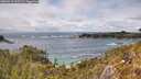 ./images/calvert/foggy-cove/20260515/foggy-cove20260515_151501M.jpg
