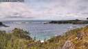 ./images/calvert/foggy-cove/20260515/foggy-cove20260515_154501M.jpg