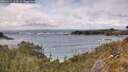 ./images/calvert/foggy-cove/20260515/foggy-cove20260515_155001M.jpg