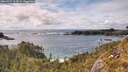 ./images/calvert/foggy-cove/20260515/foggy-cove20260515_163001M.jpg