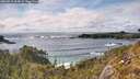 ./images/calvert/foggy-cove/20260515/foggy-cove20260515_164001M.jpg