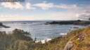 ./images/calvert/foggy-cove/20260515/foggy-cove20260515_183001M.jpg