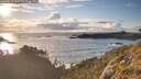 ./images/calvert/foggy-cove/20260515/foggy-cove20260515_200501M.jpg